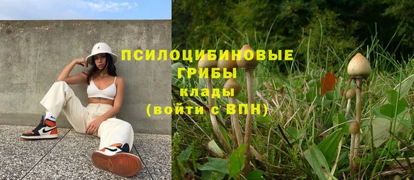 дмт Рославль