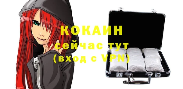 дмт Рославль
